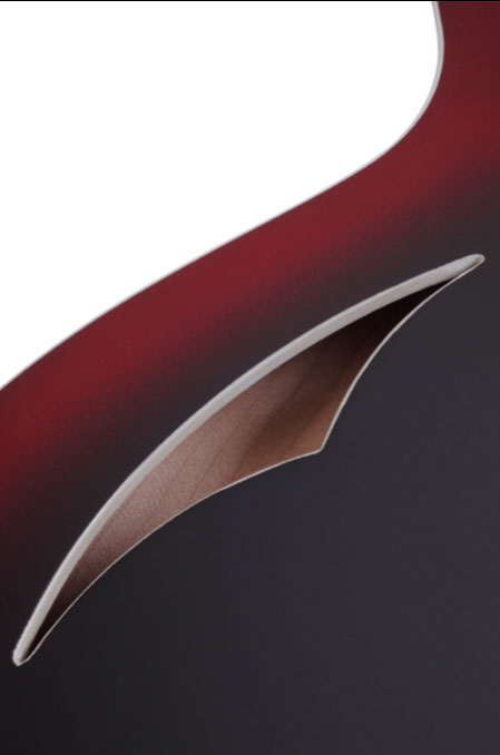 Schecter Guitar Research T S/H-1 Electric Guitar