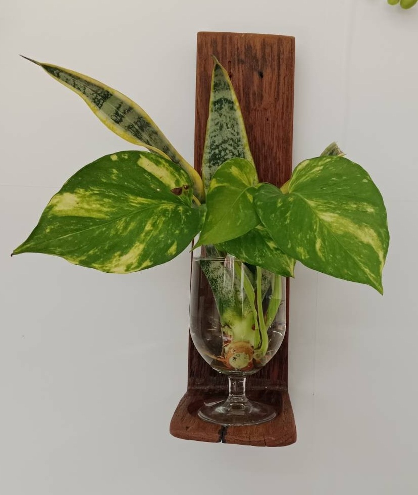 แบบที่ 11