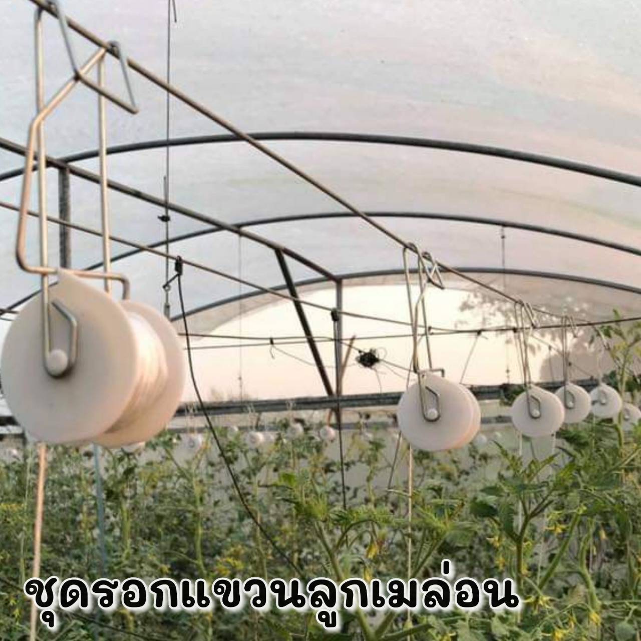 ชุดรอกแขวนเมล่อน จำนวน 2 ชิ้น