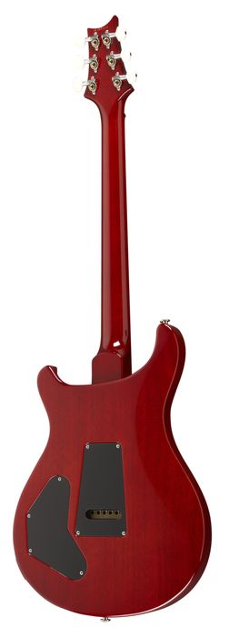 PRS DGT Standard with Birds Electric Guitar