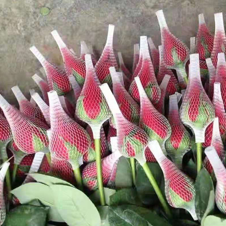 ใหม่!!! ตาข่ายห่อกุหลาบ แบบใส ไม่เปื่อยยุ่ย คนทำสวนกุหลาบนิยมใช้มาก เนื้อบางเบา กันกระแทกขั้นสุด ตาข่ายโฟมห่อดอกกุหลาบ แบบใส ตาข่ายห่อมะยงชิด เพื่อคงรูปทรงให้สวย ไม่เสียหายระหว่างขนส่ง จำนวน 1 กก.