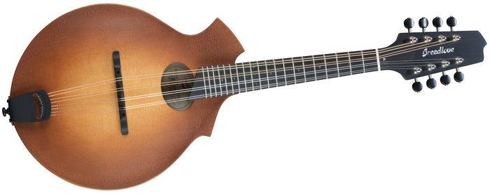 Breedlove Premier KO Mandolin Sunburst