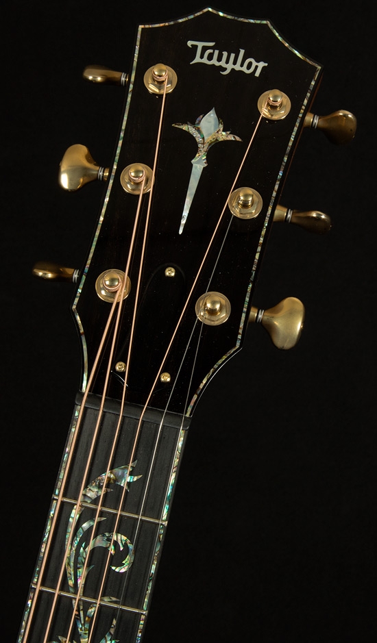 Taylor PS14ce Wildwood and Steel Prototype No.1109267117