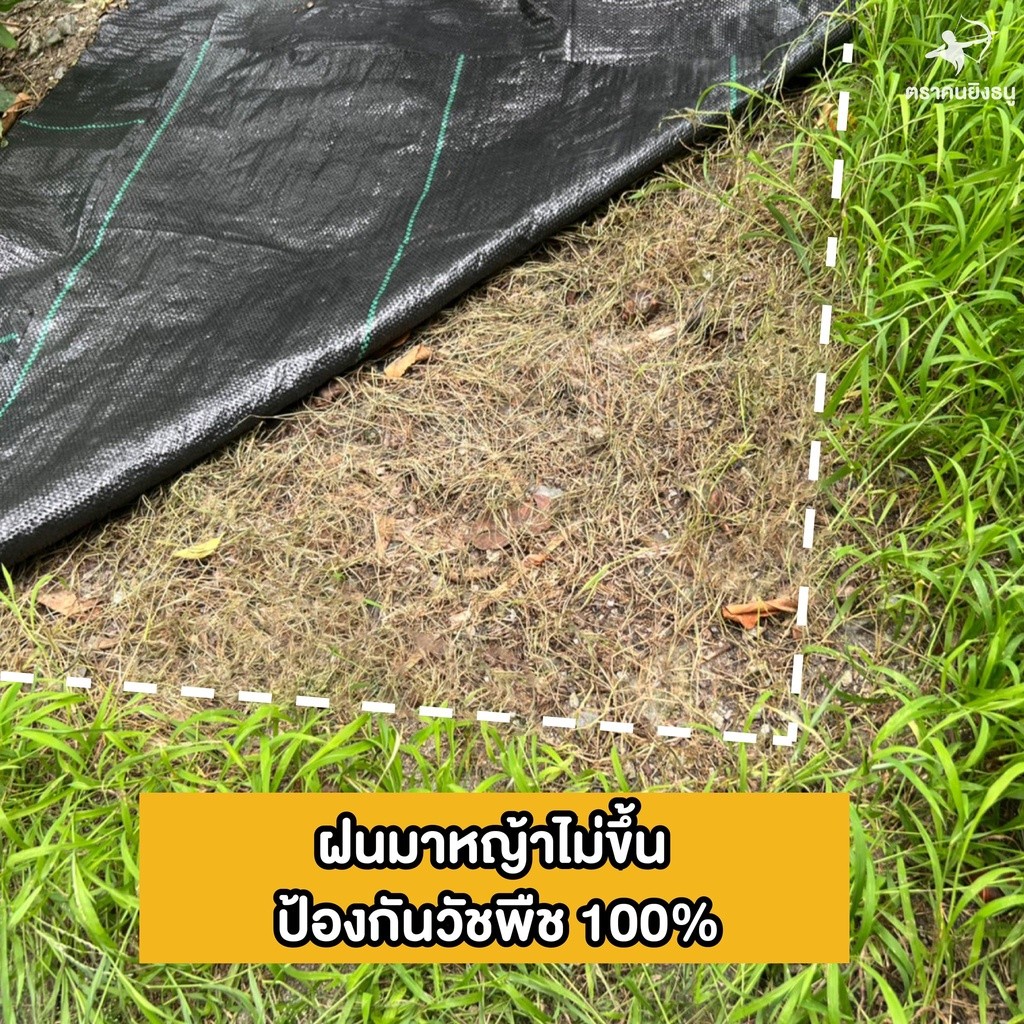 พลาสติกคลุมวัชพืช ขนาดหน้ากว้าง 1 เมตร แบ่งขายความยาวตามต้องการ