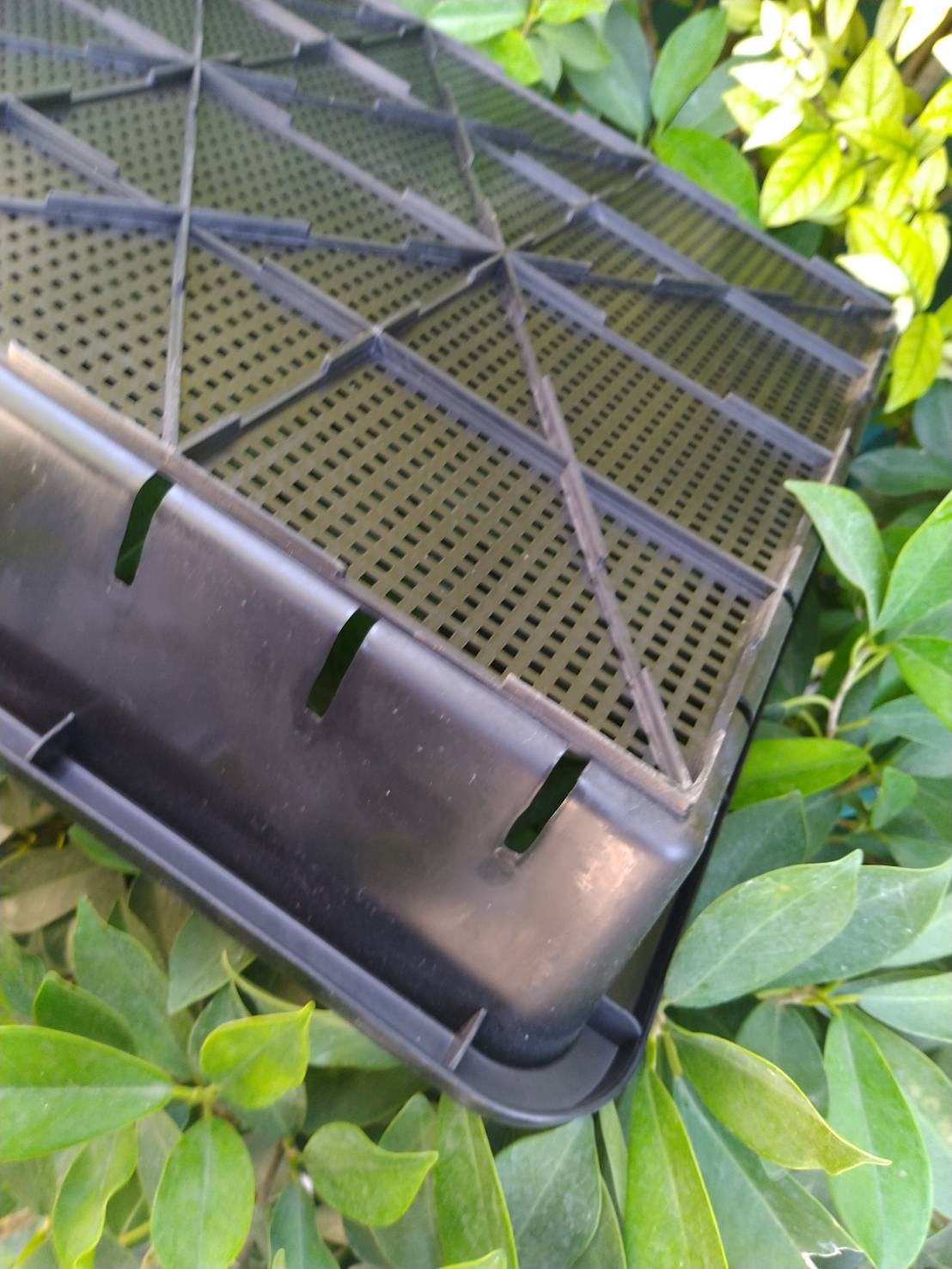 ถาดดำไดโต๊ะ รู จำนวน 1 ชิ้น