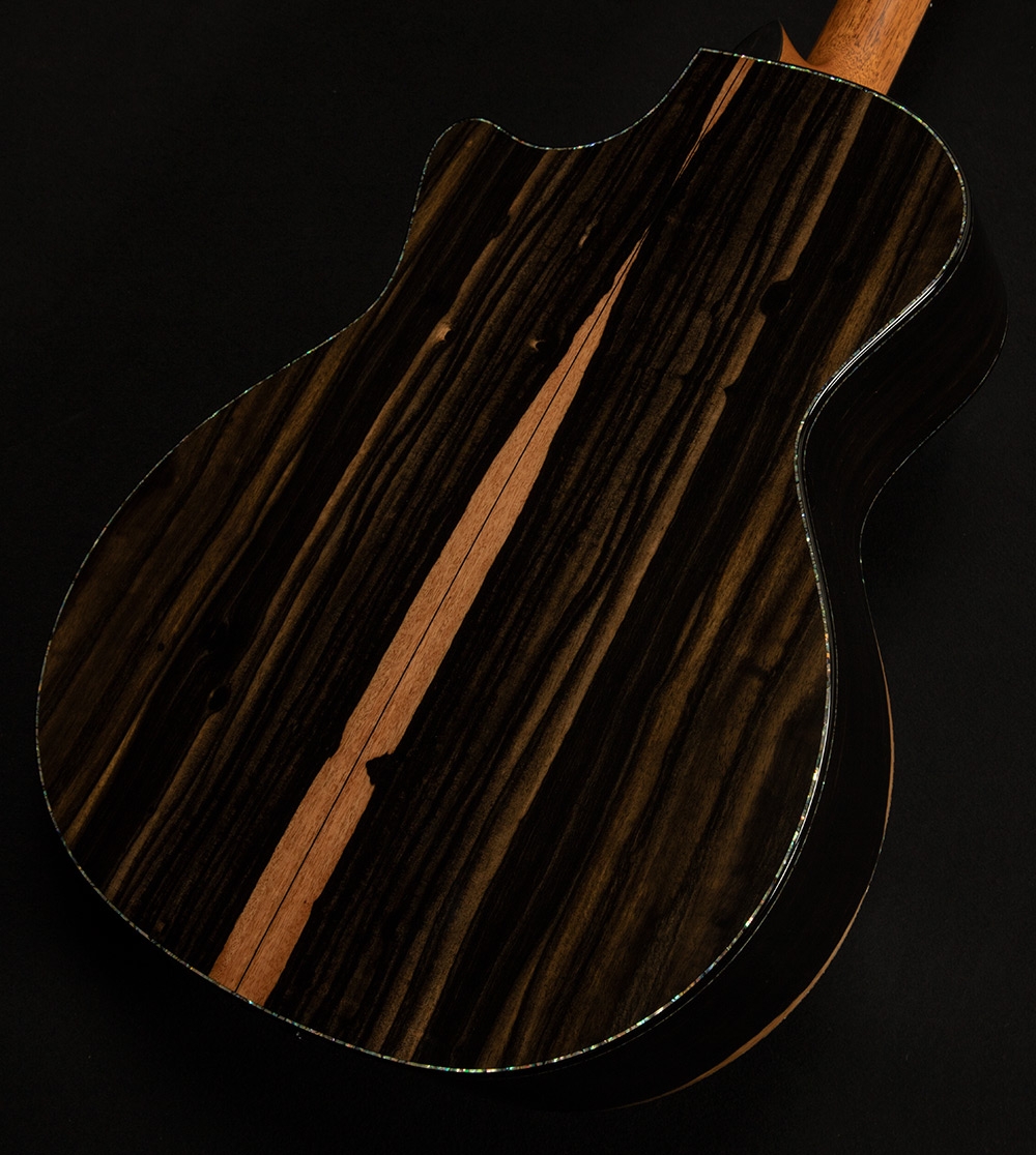 Taylor PS14ce Wildwood and Steel Prototype No.1109267117