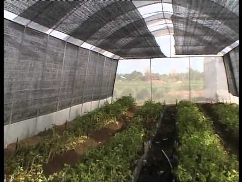 (ตัดสำเร็จพร้อมจำหน่าย) พลาสติกใส พลาสติกดำ มุ้ง สแลนด์ หน้ากว้าง 2/3/4/5/6/7 เมตร เลือกได้ตามต้องการ