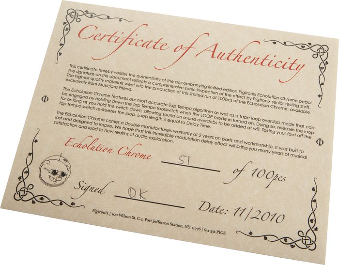 Pigtronix Phi Echolution Chrome Delay Guitar Effects Pedal