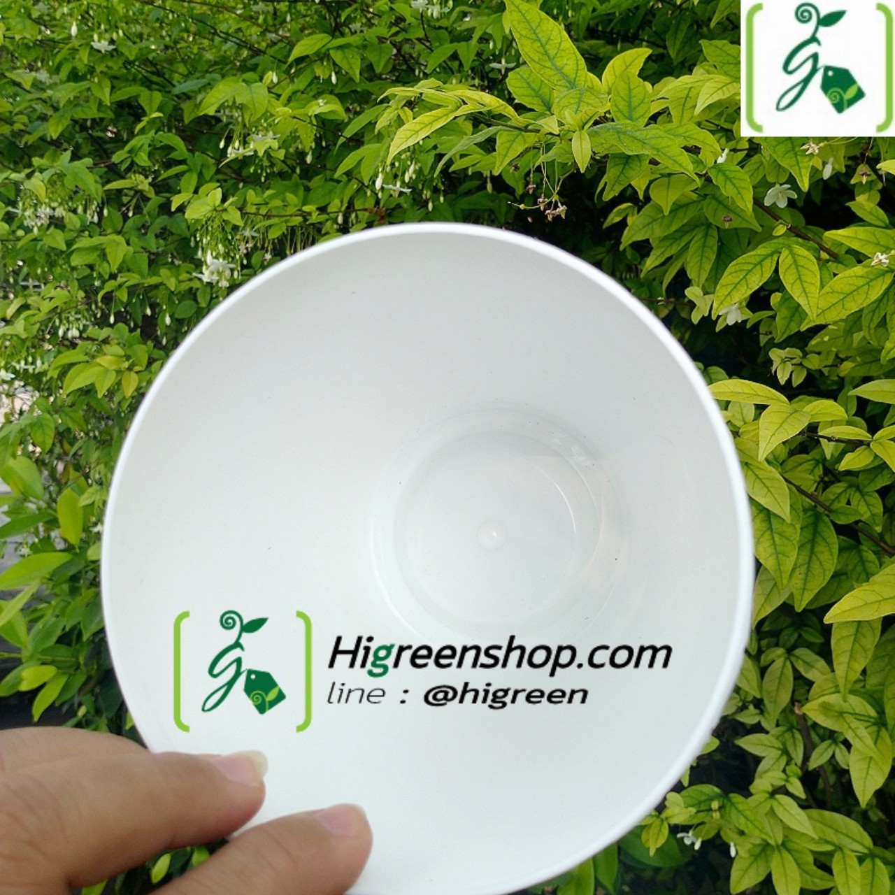 กระถางต้นไม้แบบเก็บน้ำได้ ดูดน้ำรดน้ำอัตโนมัติ ไซส์ M ขนาด 130 mm. จำนวน 1 ใบ