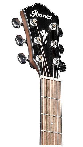 Ibanez AEG50 Grand Concert Acoustic-Electric