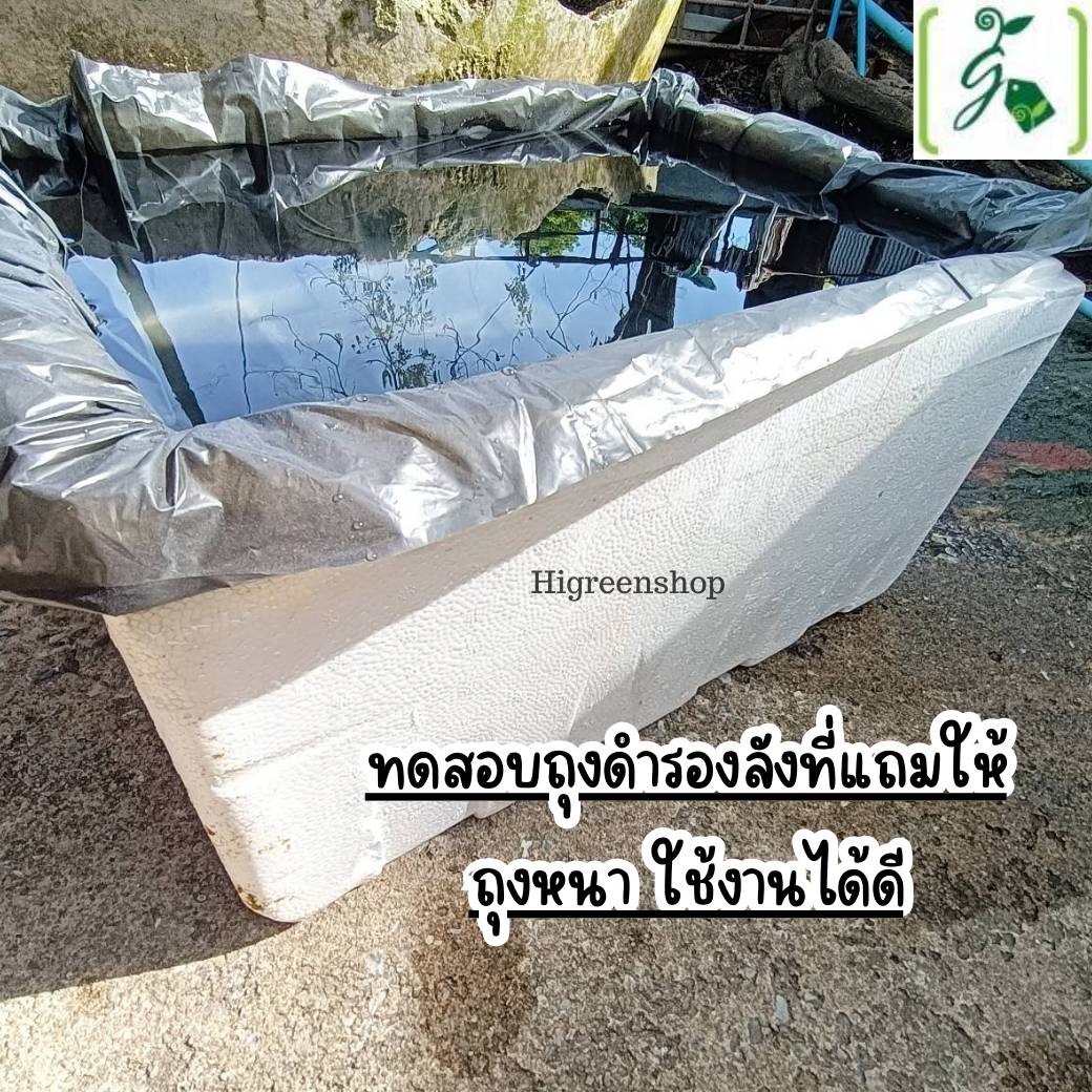 กล่องโฟมมือ 2 กล่องเปล่า กล่องปลา (สูง 35 cm.) กล่องปลูกผักไฮโดรโปนิกส์ เจาะรูฟรี + แถมถุงรองลัง เจาะรูสลัด 8 ต้น หรือผักไทย 20 ต้น เลือกได้ เซต 10 ลัง