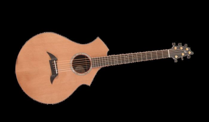 Breedlove Master Class CM Classic Acoustic Guitar Natural