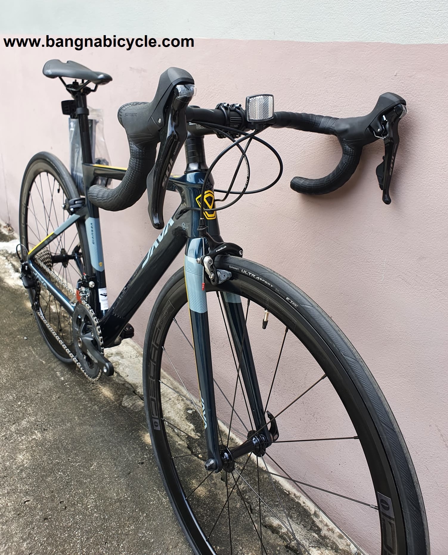 เสือหมอบคาร์บอน Java VESUVIO 2020