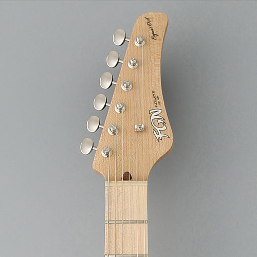 FGN Guitars EXPERT series EOS-AL/M - Black