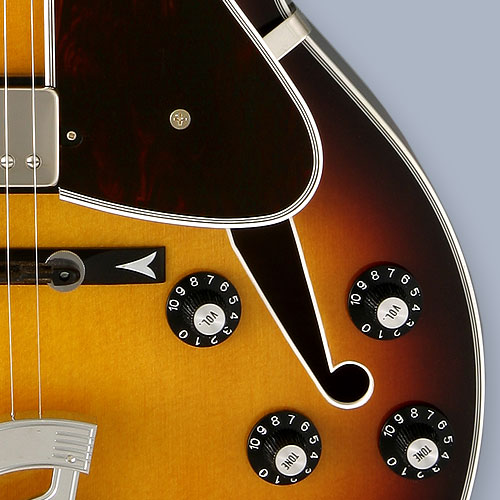 FGN Guitars Masterfield series MFA-HH - Jazz Burst