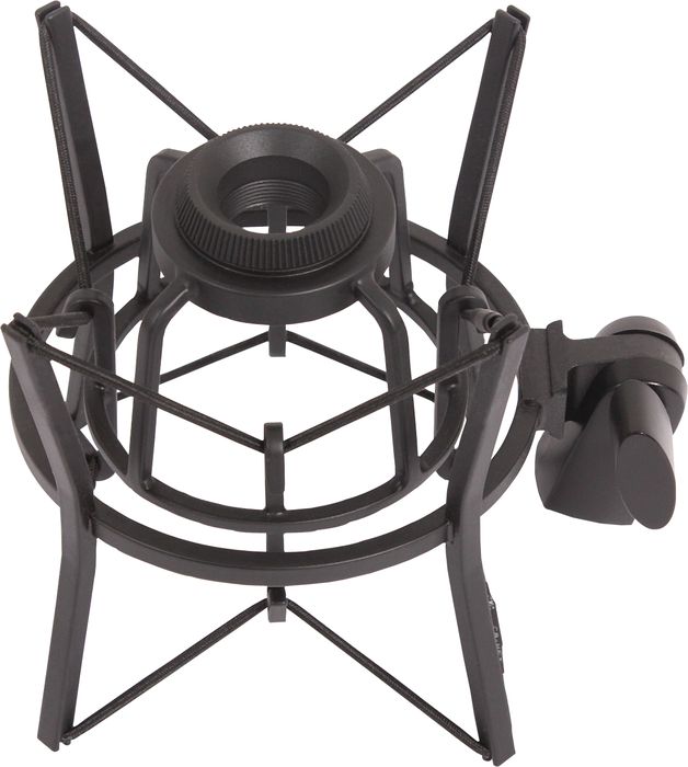 AKG Perception 220 Condenser Microphone