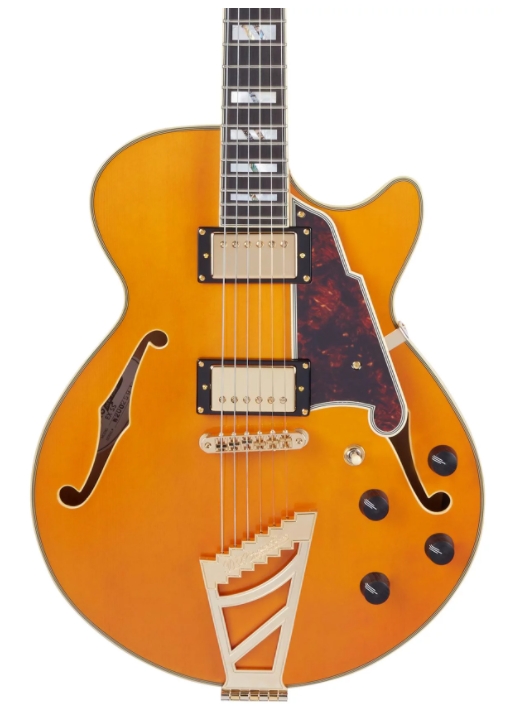 D Angelico Excel SS Semi-hollowbody Electric Guitar