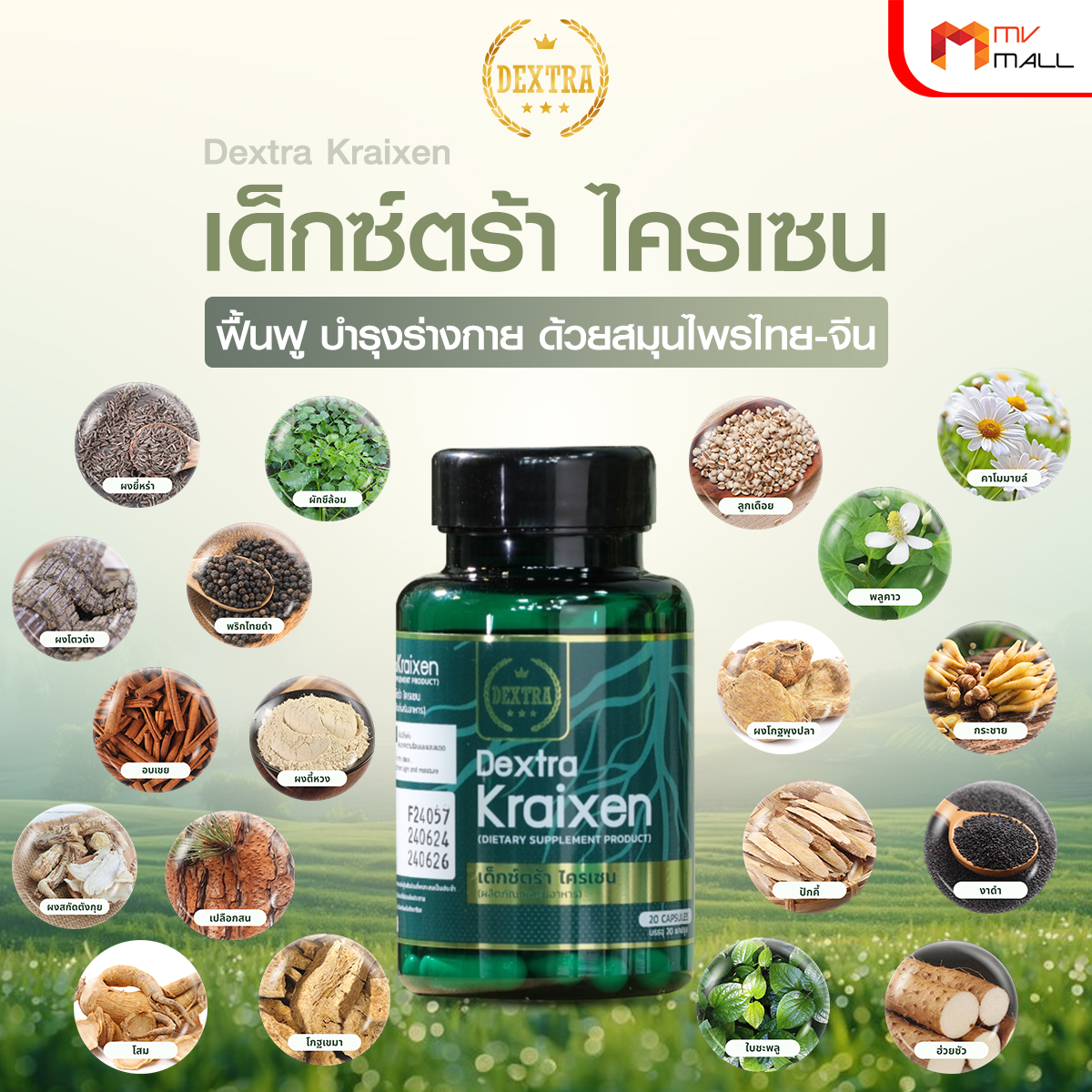 เด็กซ์ตร้า ไครเซน (Dextra Kraixen) บำรุงร่างกาย กระตุ้นการไหลเวียนโลหิต 6 กระปุก