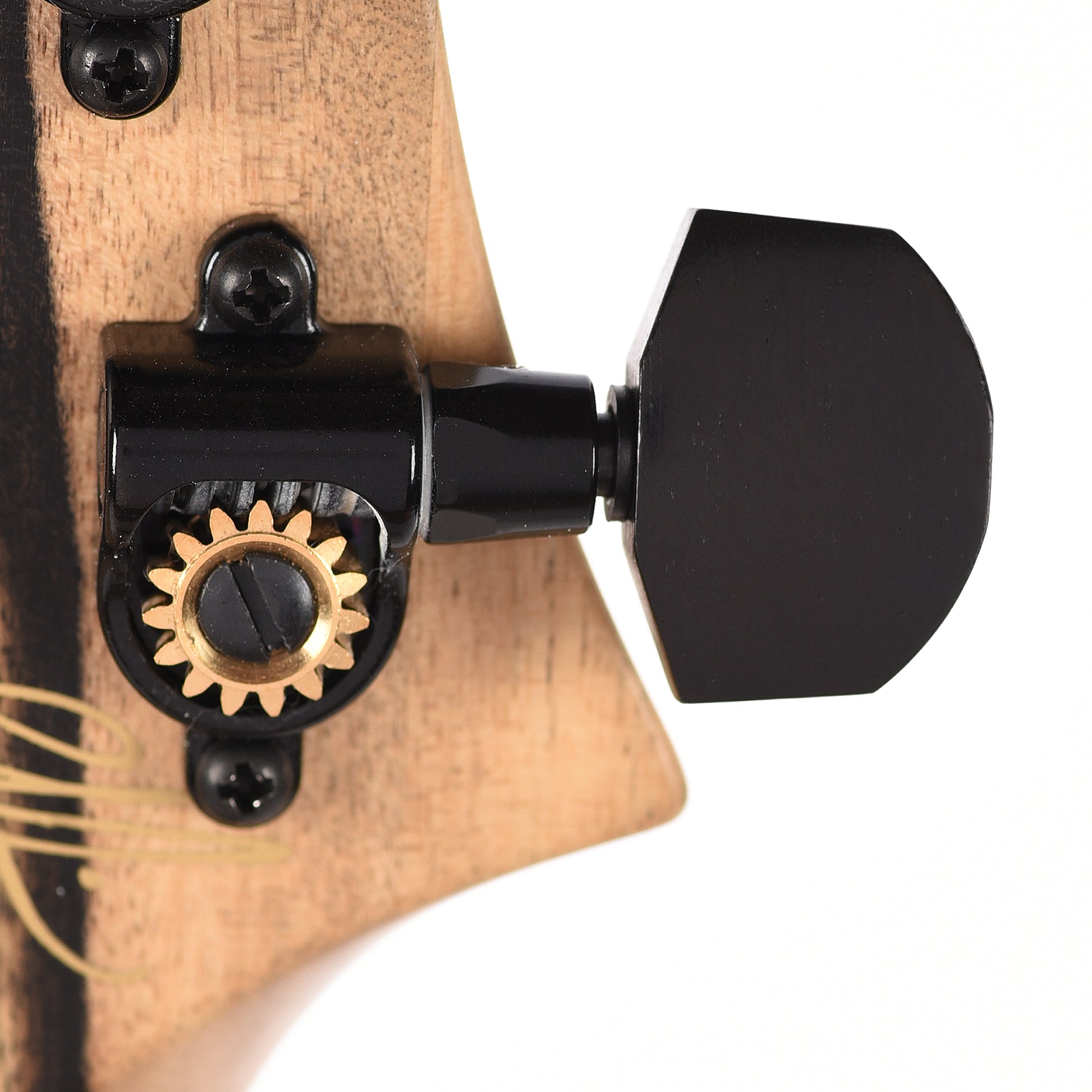 PRS Private Stock Custom 24 Pale Moon Ebony/Swamp Ash Natural w/Pale Moon Ebony Neck & Ebony Binding