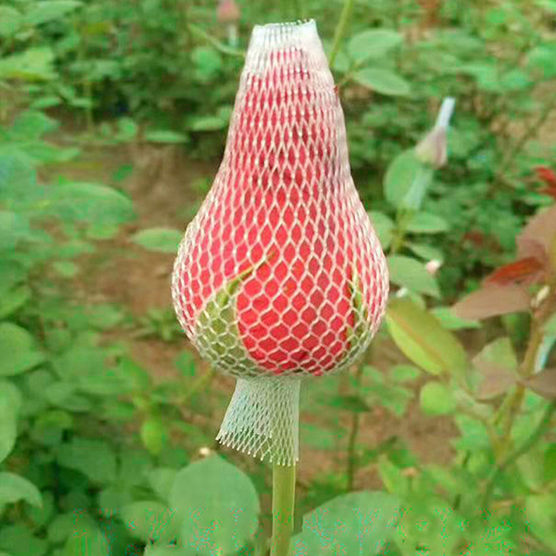 ใหม่!!! ตาข่ายห่อกุหลาบ แบบใส ไม่เปื่อยยุ่ย คนทำสวนกุหลาบนิยมใช้มาก เนื้อบางเบา กันกระแทกขั้นสุด ตาข่ายโฟมห่อดอกกุหลาบ แบบใส ตาข่ายห่อมะยงชิด เพื่อคงรูปทรงให้สวย ไม่เสียหายระหว่างขนส่ง จำนวน 1 กก.