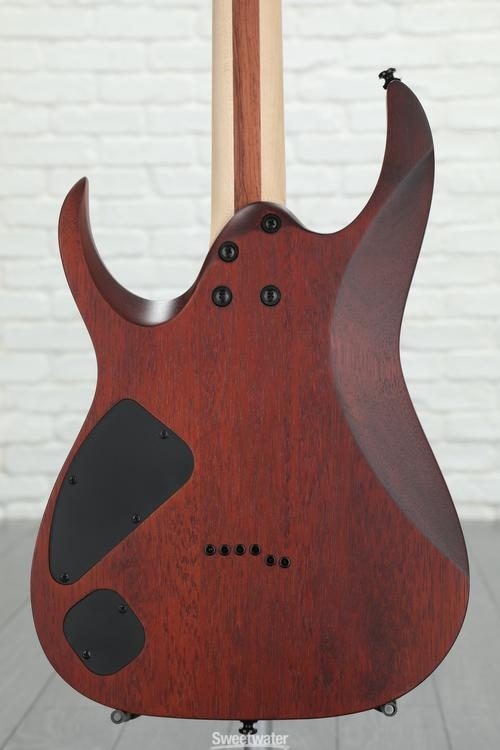 Ibanez RGA Iron Label RGAIX6FM - White Frost Flat