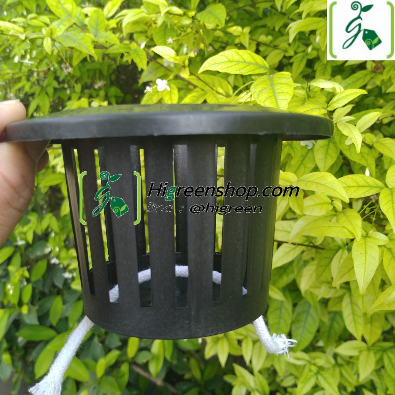 กระถางต้นไม้แบบเก็บน้ำได้ ดูดน้ำรดน้ำอัตโนมัติ ไซส์ M ขนาด 130 mm. จำนวน 1 ใบ