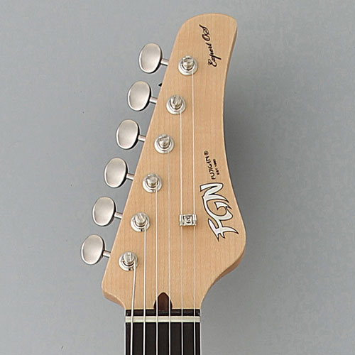FGN Guitars EXPERT series EOS-AL/R