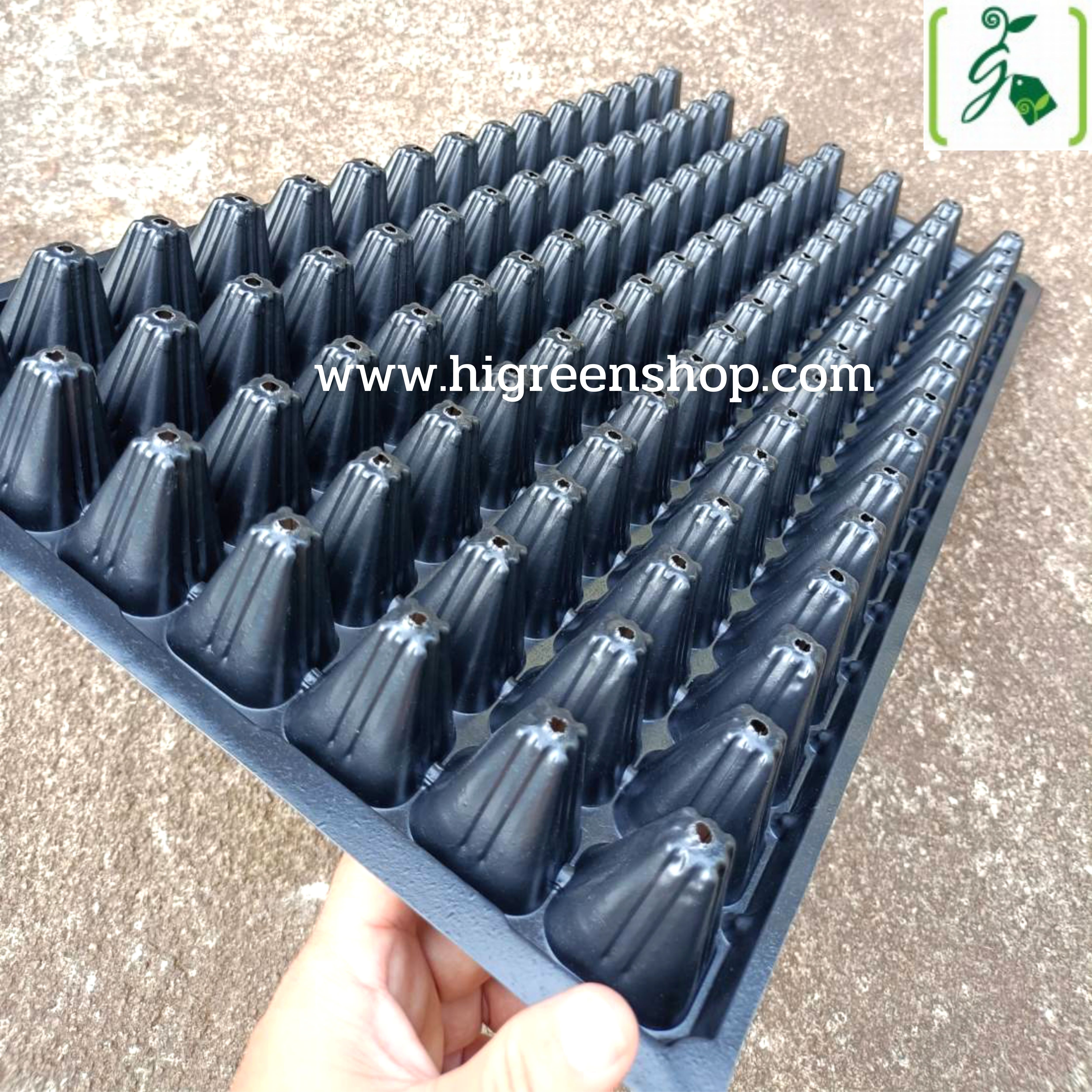 ถาดหลุมเพาะกล้าสีดำ 105 หลุม