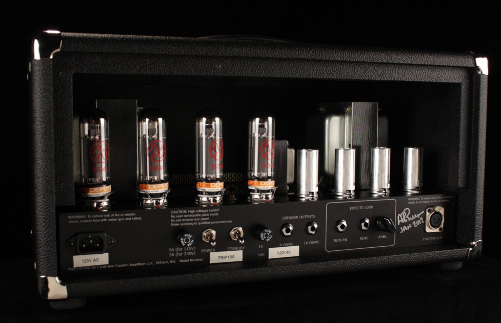 Carol-Ann Triptik - 100 Watt