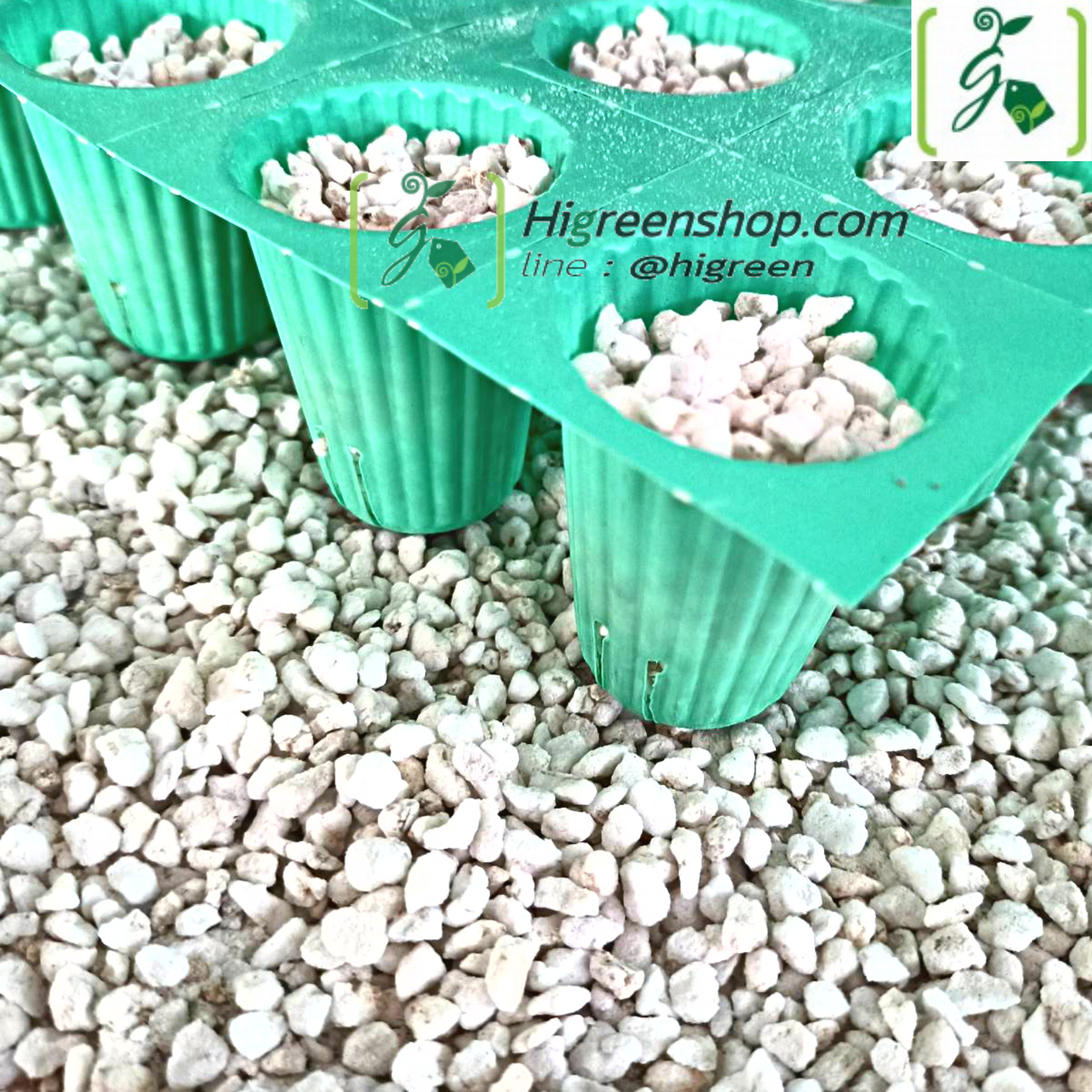 เพอร์ไลท์ (Perlite) 100 ลิตร นำเข้าจากประเทศ จีน 50 กระสอบ แถมฟรี 5 กระสอบ