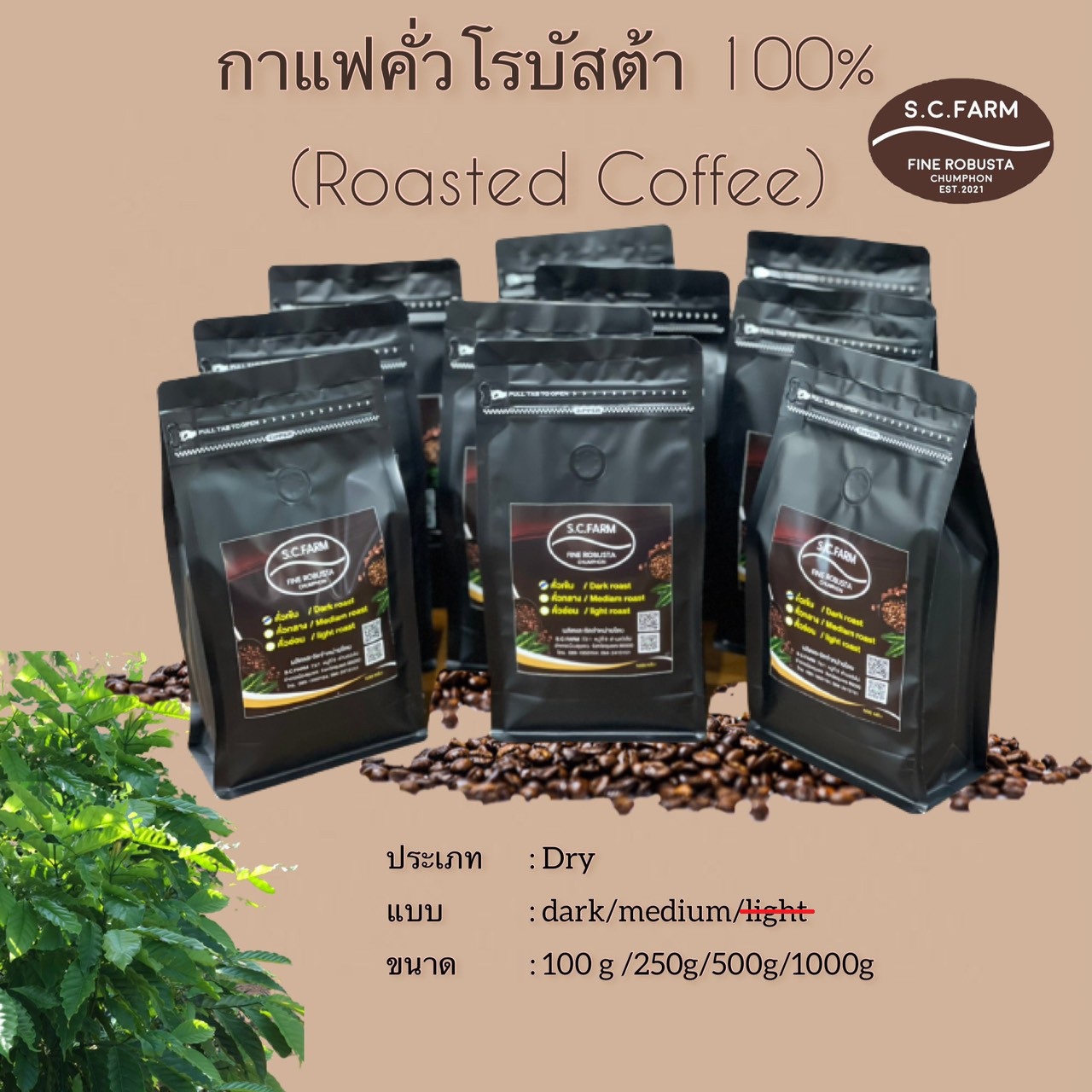 กาแฟคั่วโรบัสต้า Dry