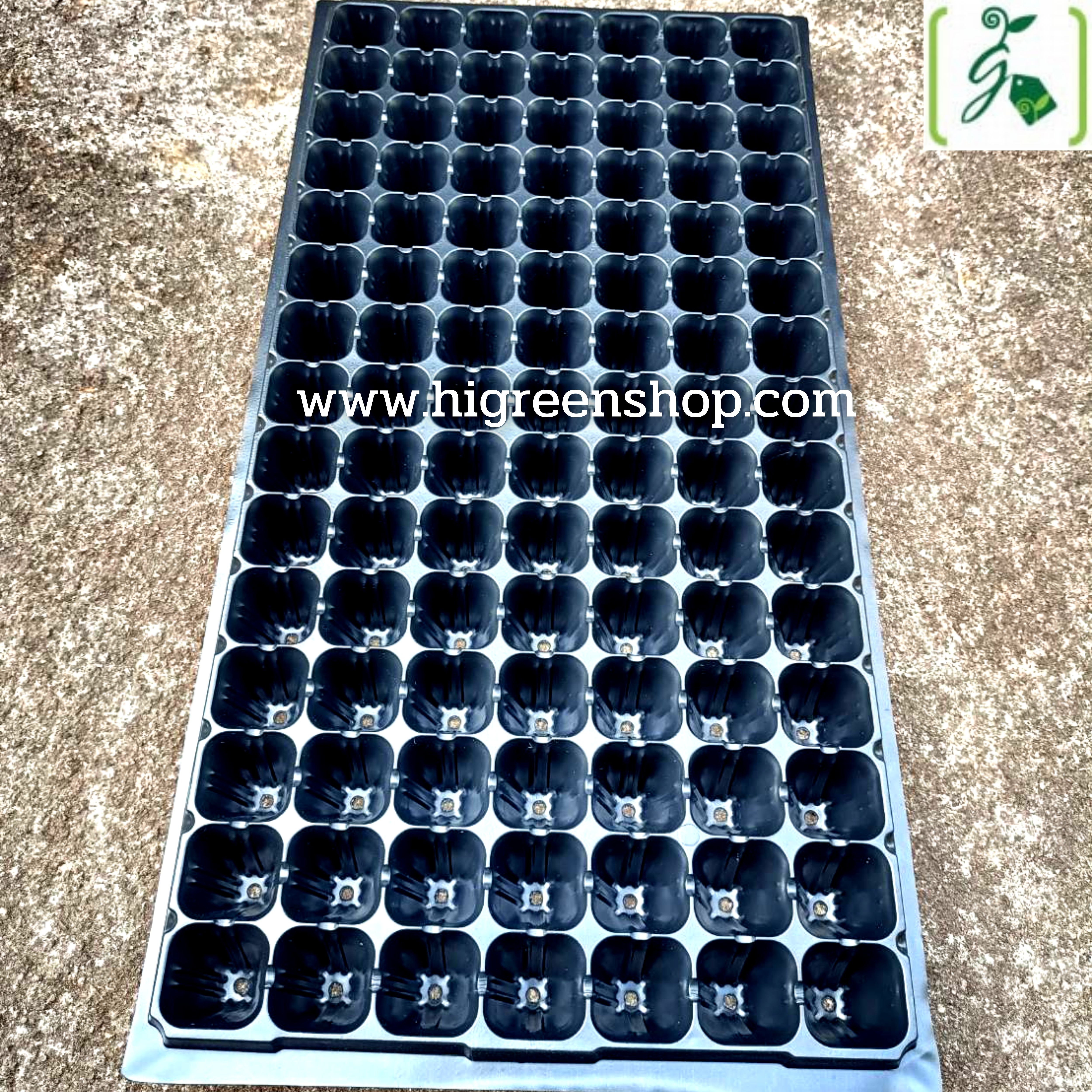 ถาดหลุมเพาะกล้าสีดำ 105 หลุม