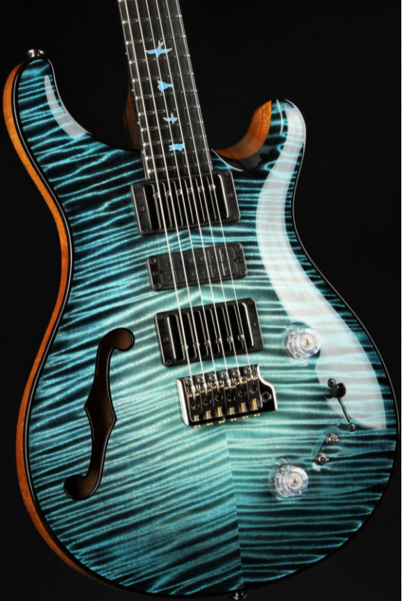 Paul Reed Smith Private Stock #9021 Special Semi-Hollow F-Hole Macassar Ebony - Sub Zero Glow