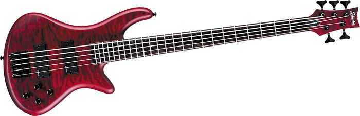 Schecter Guitar Research Stiletto Custom-5 Bass