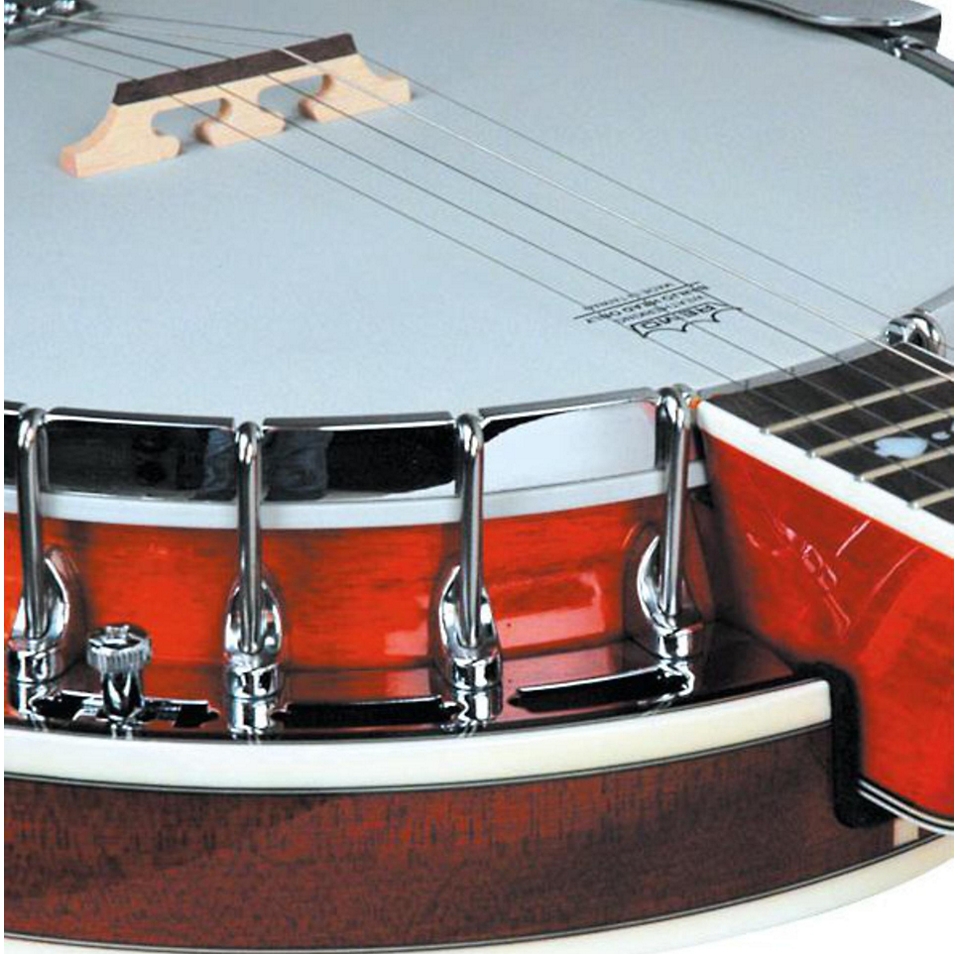 Recording King Bluegrass Series RK-R20 Songster Banjo