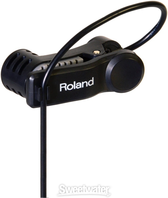 Roland EC-10M ElCajon Mic Processor