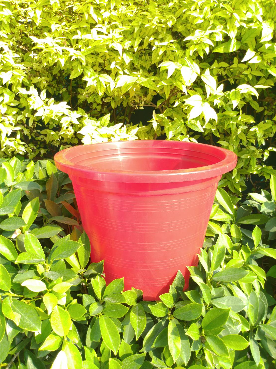 กระถางกลม 12 นิ้ว 1 ใบ (เลือกสีได้)