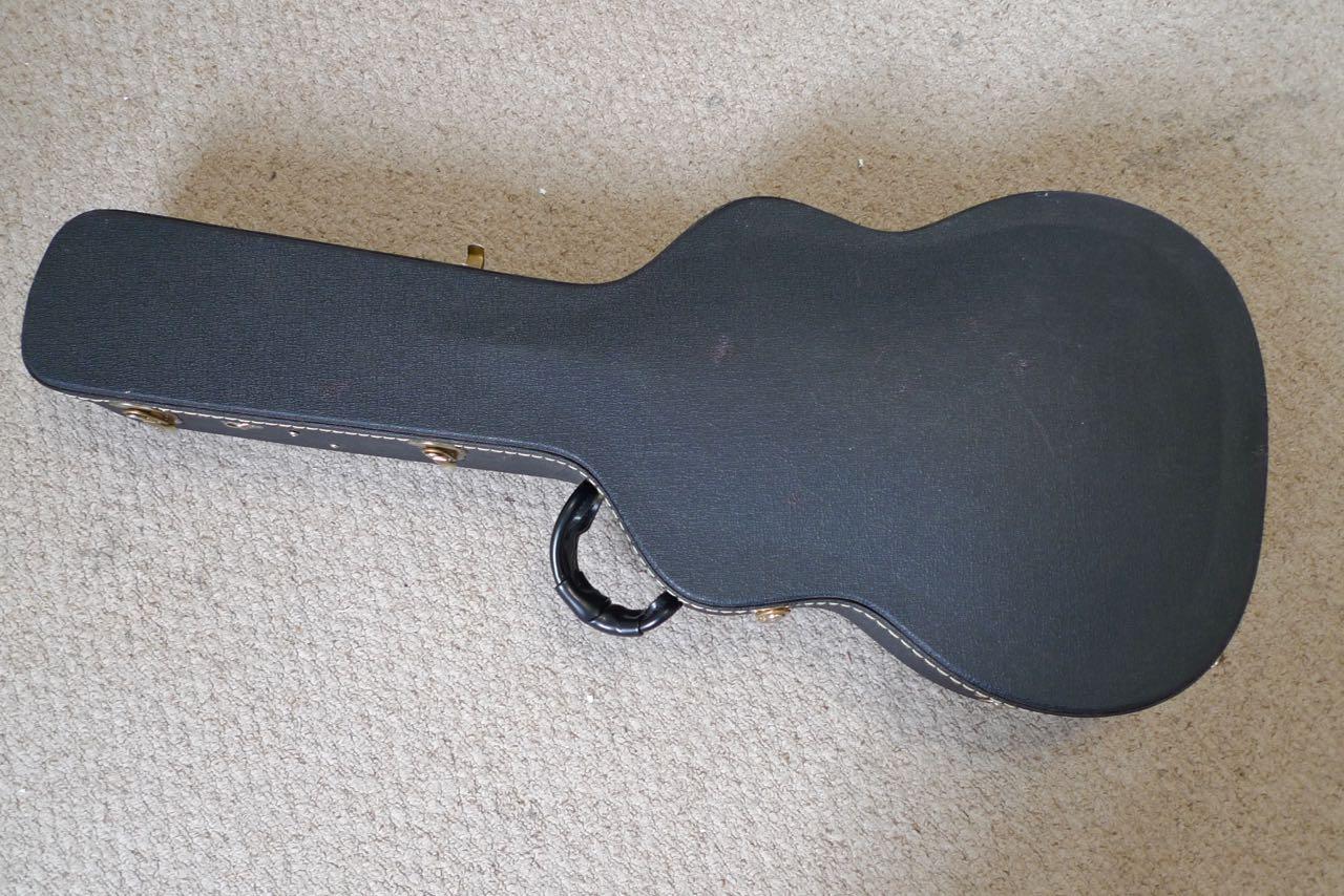 Manzer Dehlicaster - Acoustic Guitar