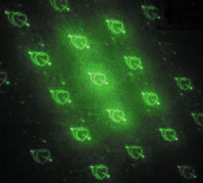 OmniSistem Sparkler 10mW Green Laser Effect