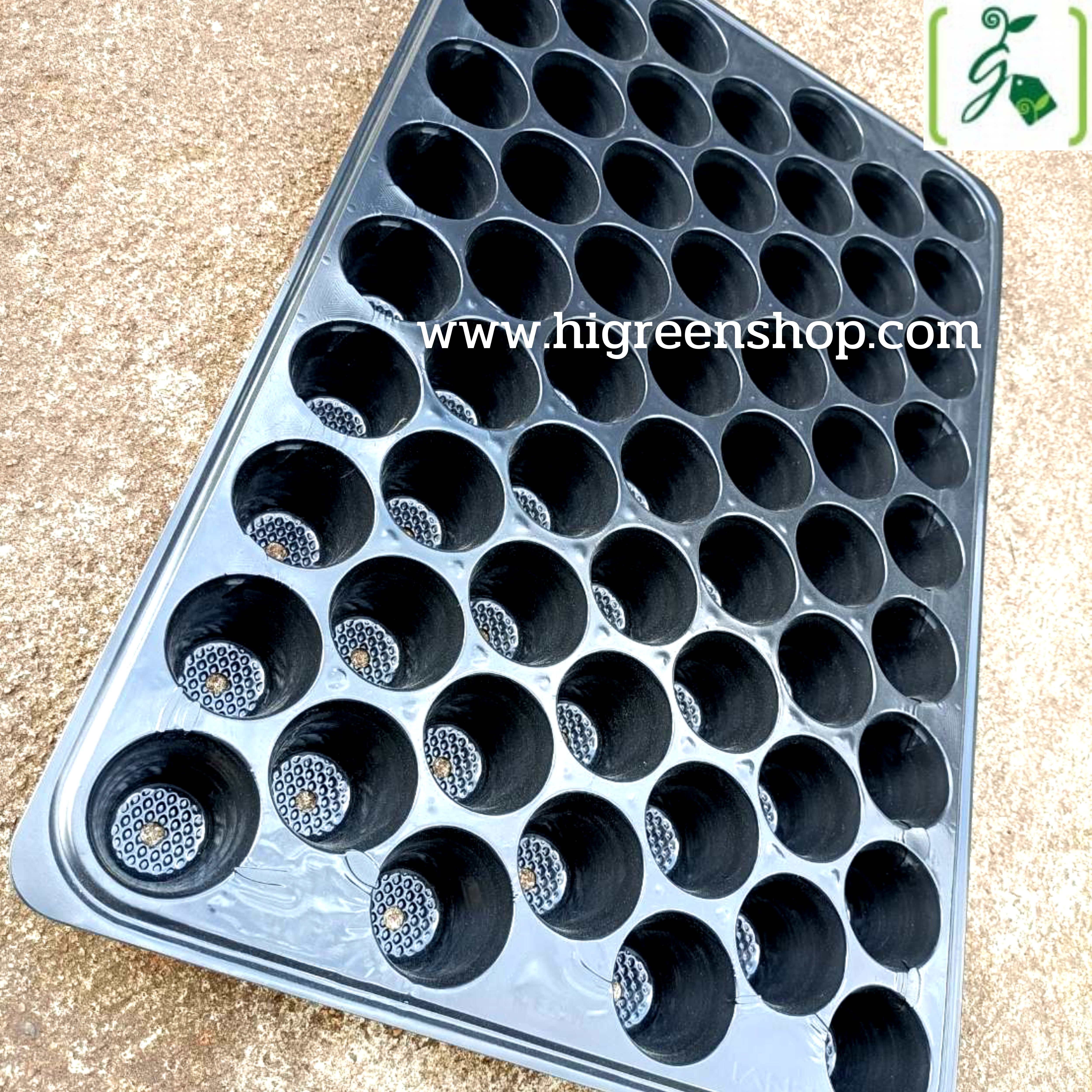 ถาดหลุมเพาะกล้าสีดำ 60 หลุม(100แผ่น/กล่อง)