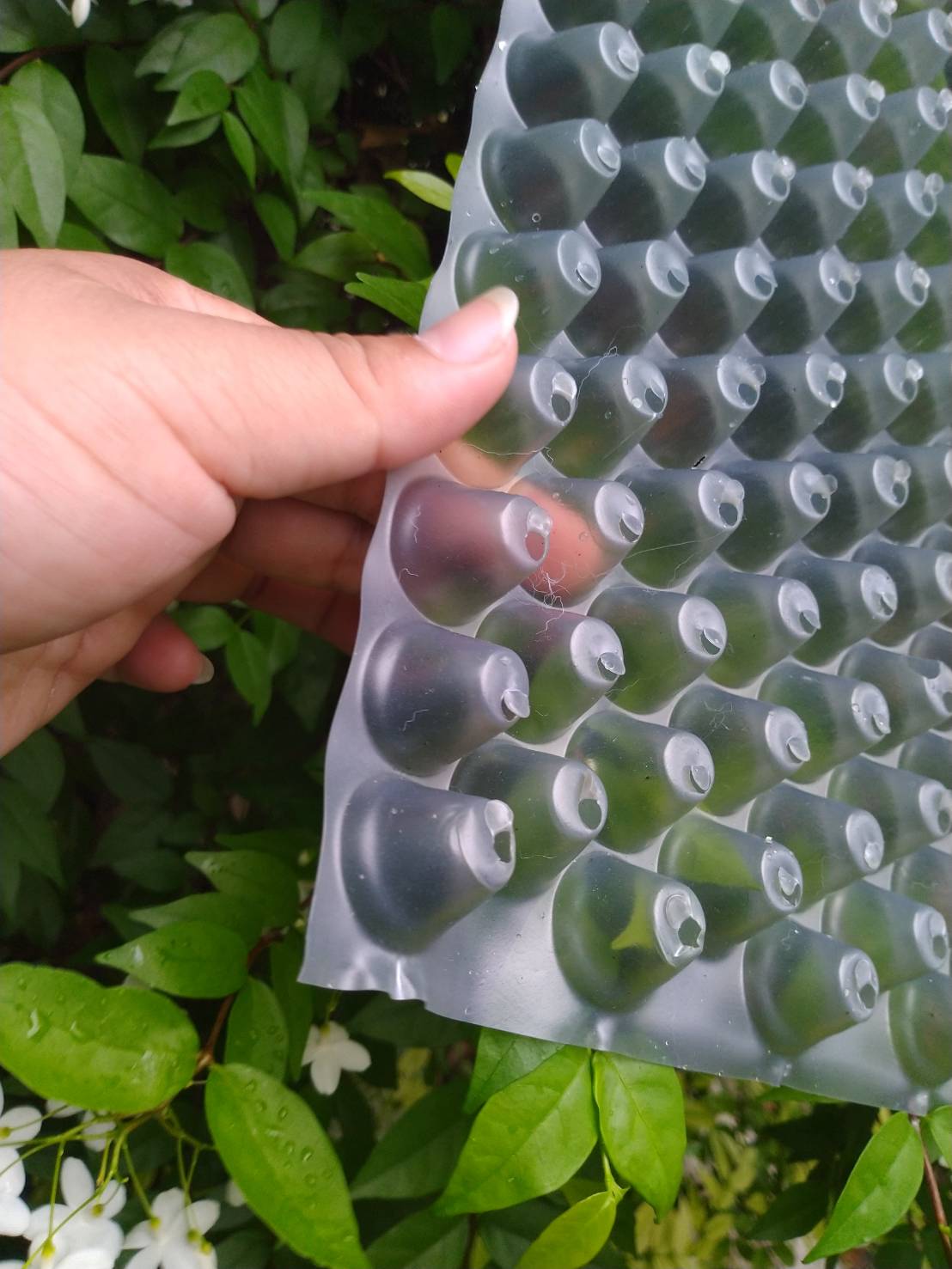 ถาดเพาะกล้านาโยน ถาดเพาะข้าว ถาดเพาะชำ ถาดเพาะเมล็ด 434หลุม/ใบ (แพค 200 ใบ)