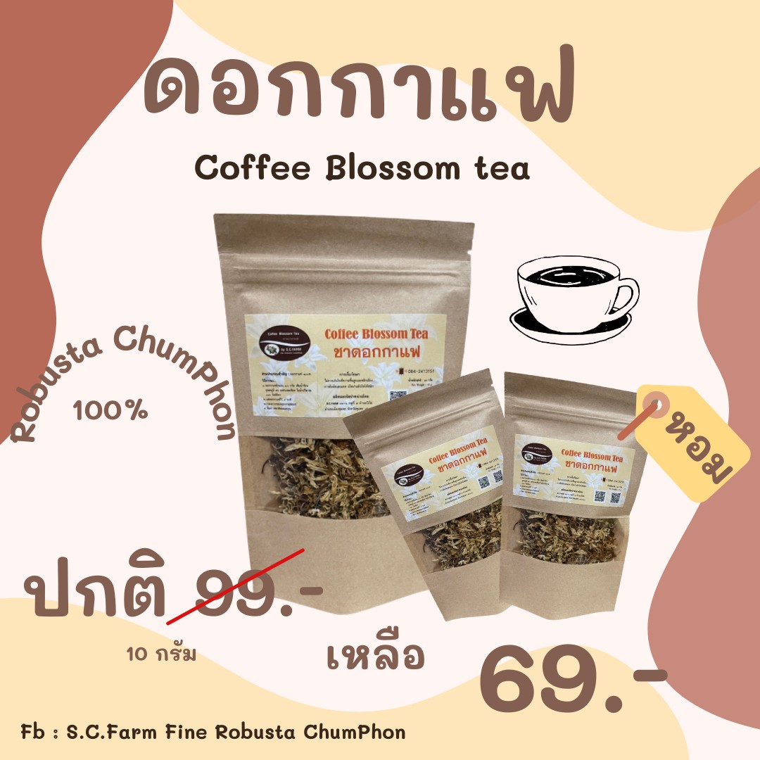 ชาดอกกาแฟ Coffee Blossom tea