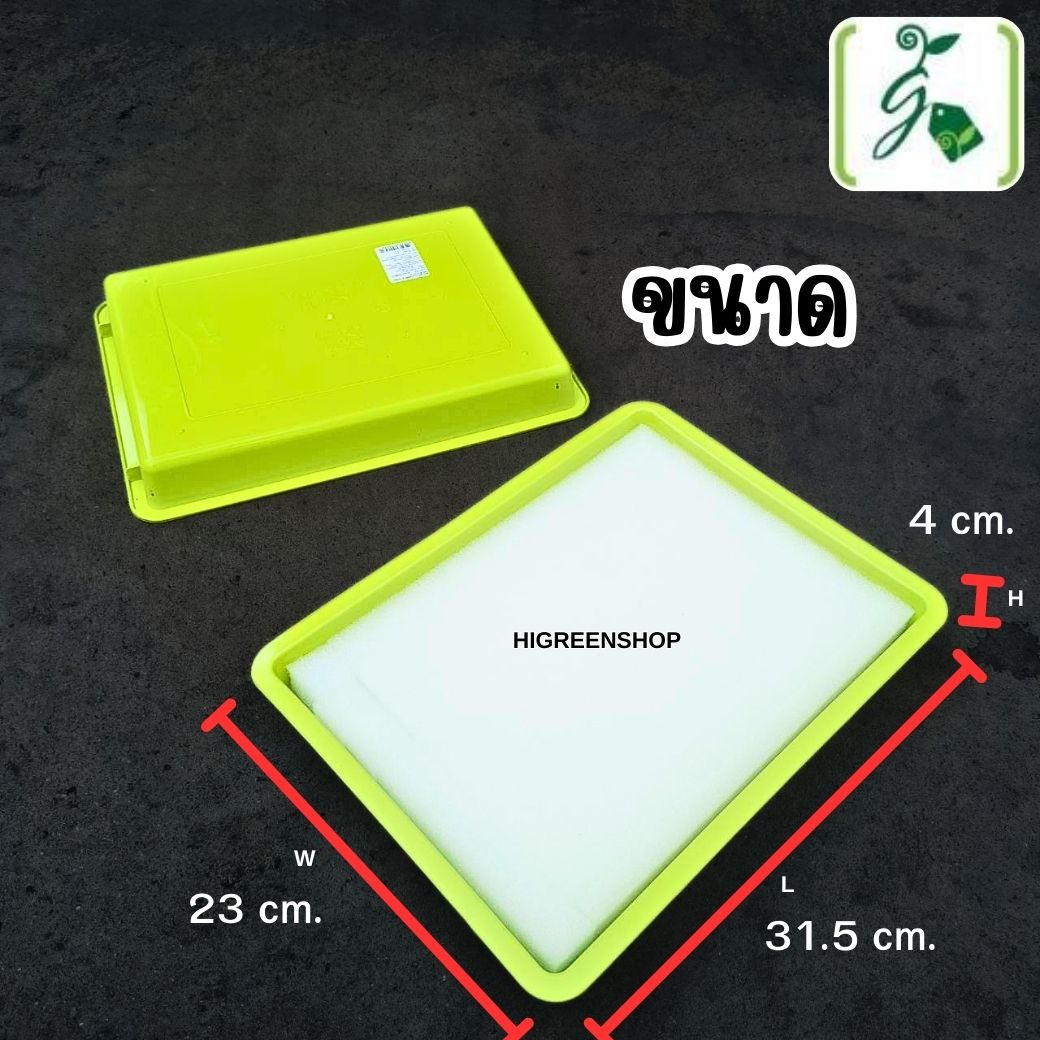 ถาดเสริฟ์ 4 เหลี่ยม ถาดเพาะเมล็ด ถาดพลาสติก จำนวน 1 ใบ