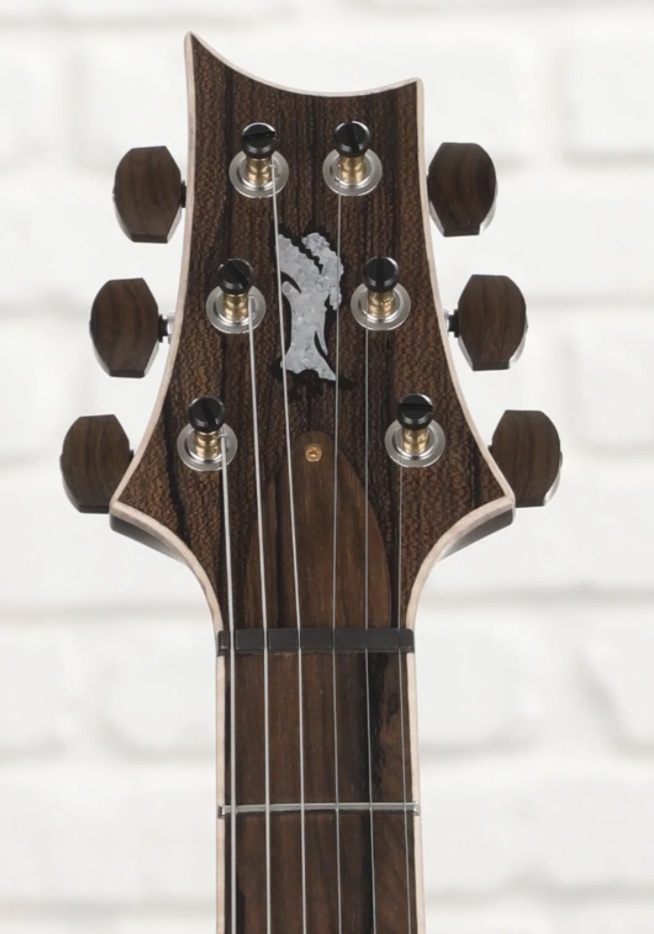 PRS Private Stock #9769 Custom 24 Electric Guitar - Glacier Glow