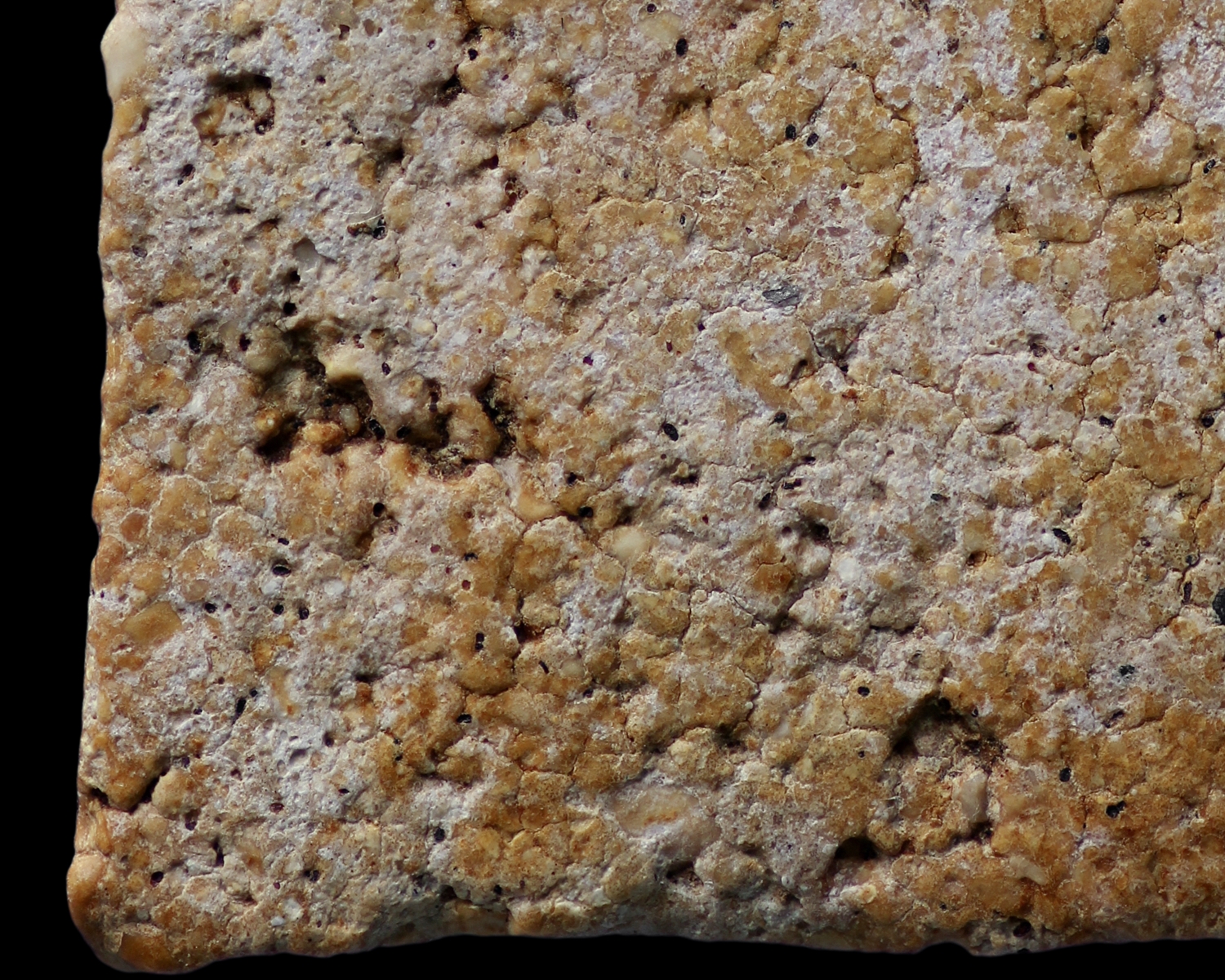 พระสมเด็จวัดระฆังโฆสิตาราม พิมพ์เจดีย์