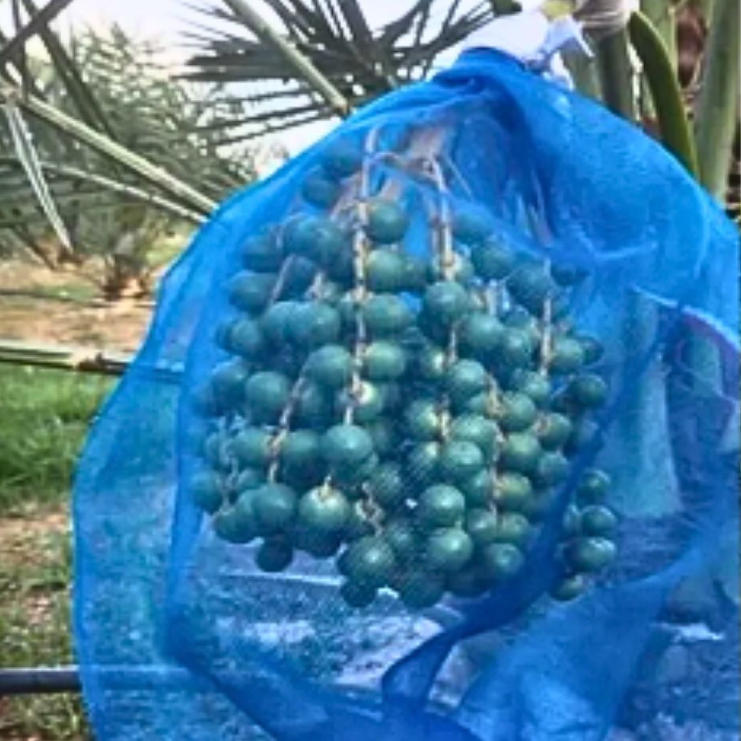 ถุงตาข่าย ถุงไนล่อนมีหูรูด ใส่ขวด/ใส่ของ/ใส่กบ/เลี้ยงหอย