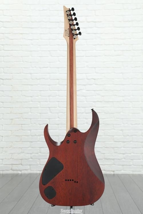 Ibanez RGA Iron Label RGAIX6FM - White Frost Flat