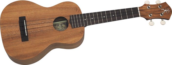 aNueNue Oahu Koa II Concert Ukulele