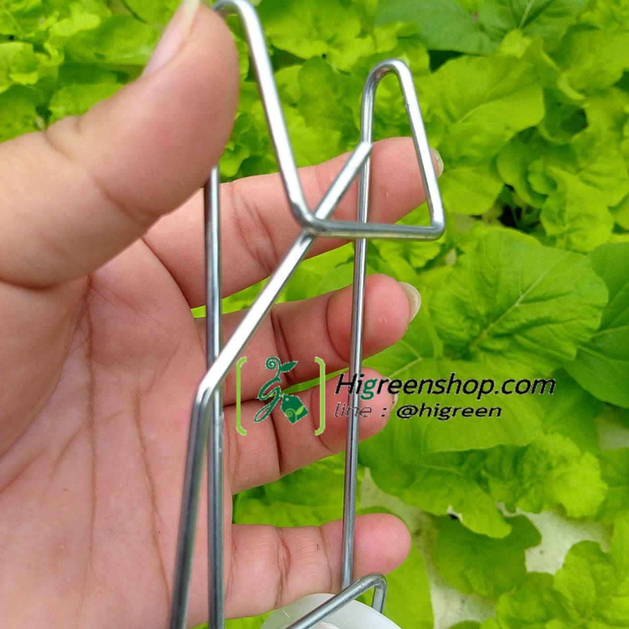 ชุดรอกแขวนเมล่อน จำนวน 2 ชิ้น