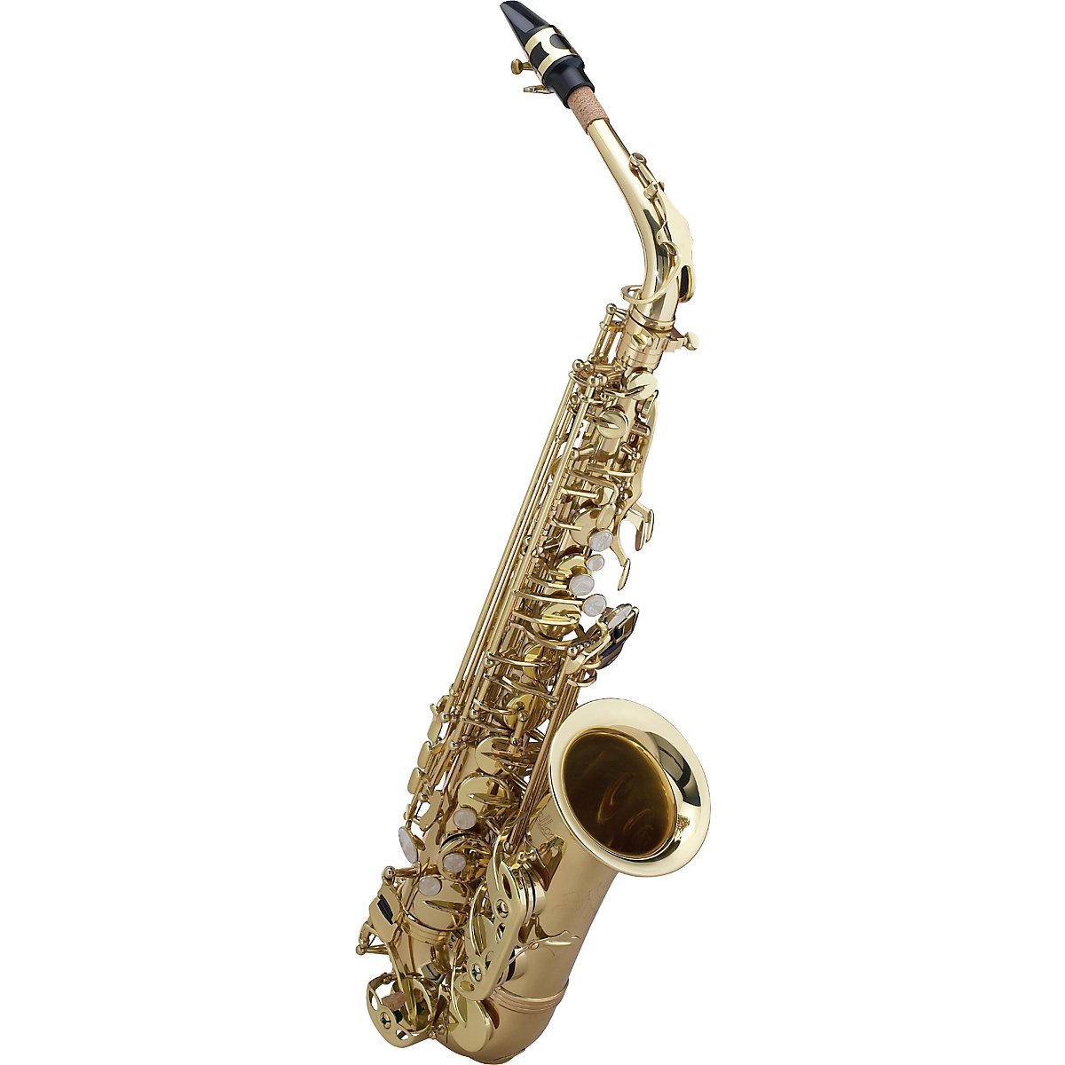 Allora Student Series Alto Saxophone Model AAAS-301